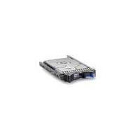Micro storage 2.5  SAS Hotswap 300GB (SA300003I836)